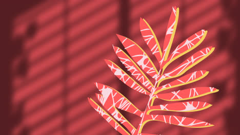 animación de la planta sobre hojas y sombra de la ventana sobre fondo rojo