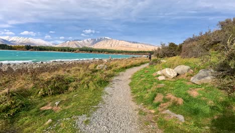 a person walks a gravel path beside lake tekapo, surrounded by wildflowers, grasses, and mountains under partly cloudy daylight. smooth handheld camera pan
