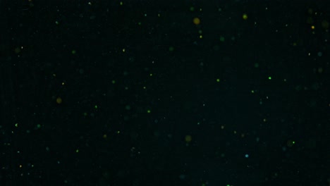 como pequeñas partículas de luz en el cielo oscuro, partículas de colores, cámara lenta