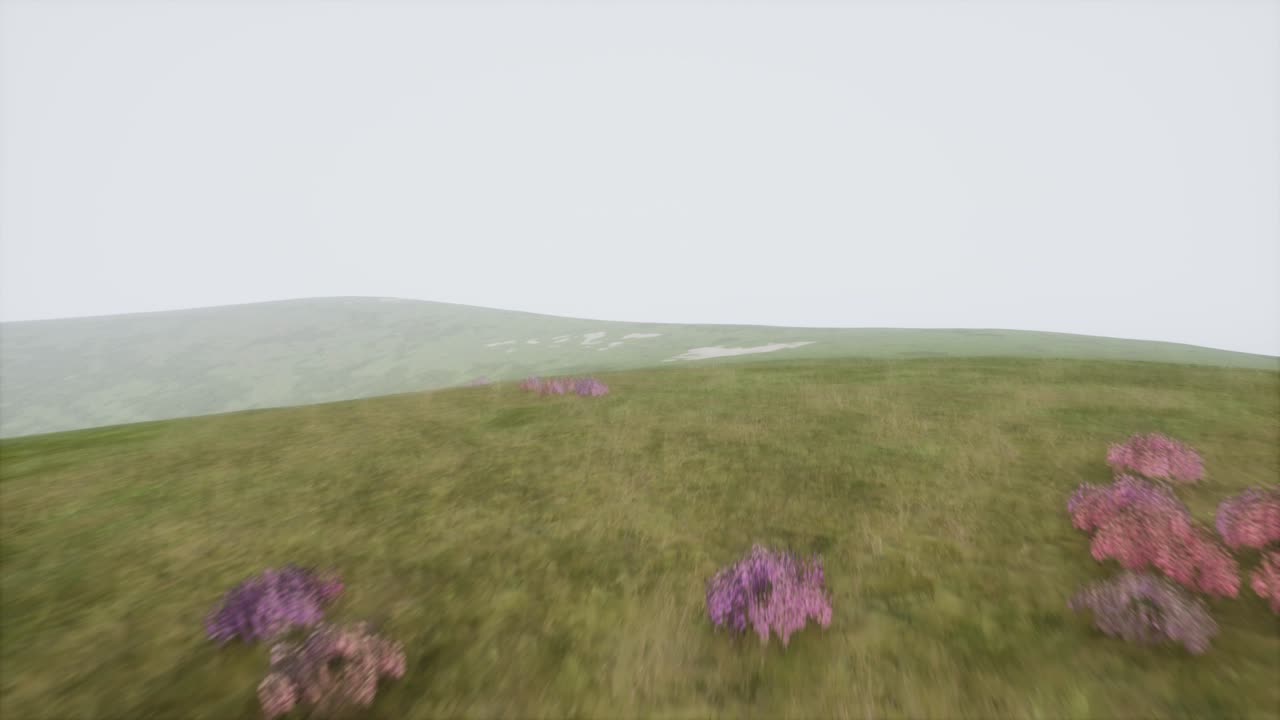 안개 속 에 있는 공중 의 초록색 언덕 풍경