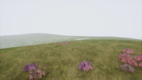 Aerial Green Hills Landscape in Fog