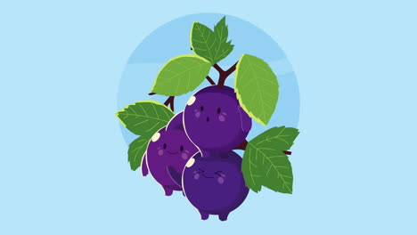 grapes fruit character animation