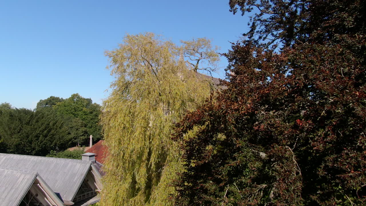 4K drone shot revealing Winchester Cathedral from behind trees during Summer in Hampshire, UK