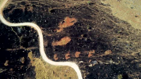 Aerial-top-down-and-reveal-of-a-hilltop-and-large-burnt-forest-area-in-the-aftermath-of-wildfires-in-northern-Greece,-August-2023