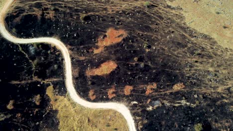 vista aérea de arriba hacia abajo y revelación de una cima de una colina y un gran área de bosque quemado después de los incendios forestales en el norte de grecia, agosto de 2023
