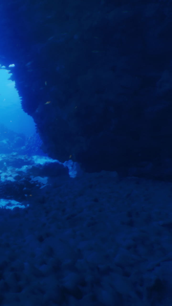 Explore the mystical beauty of an underwater cavern at dawn