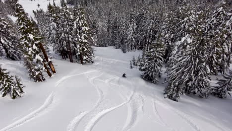 aerial view of backcountry snowboarding in fresh powder with snow covered trees