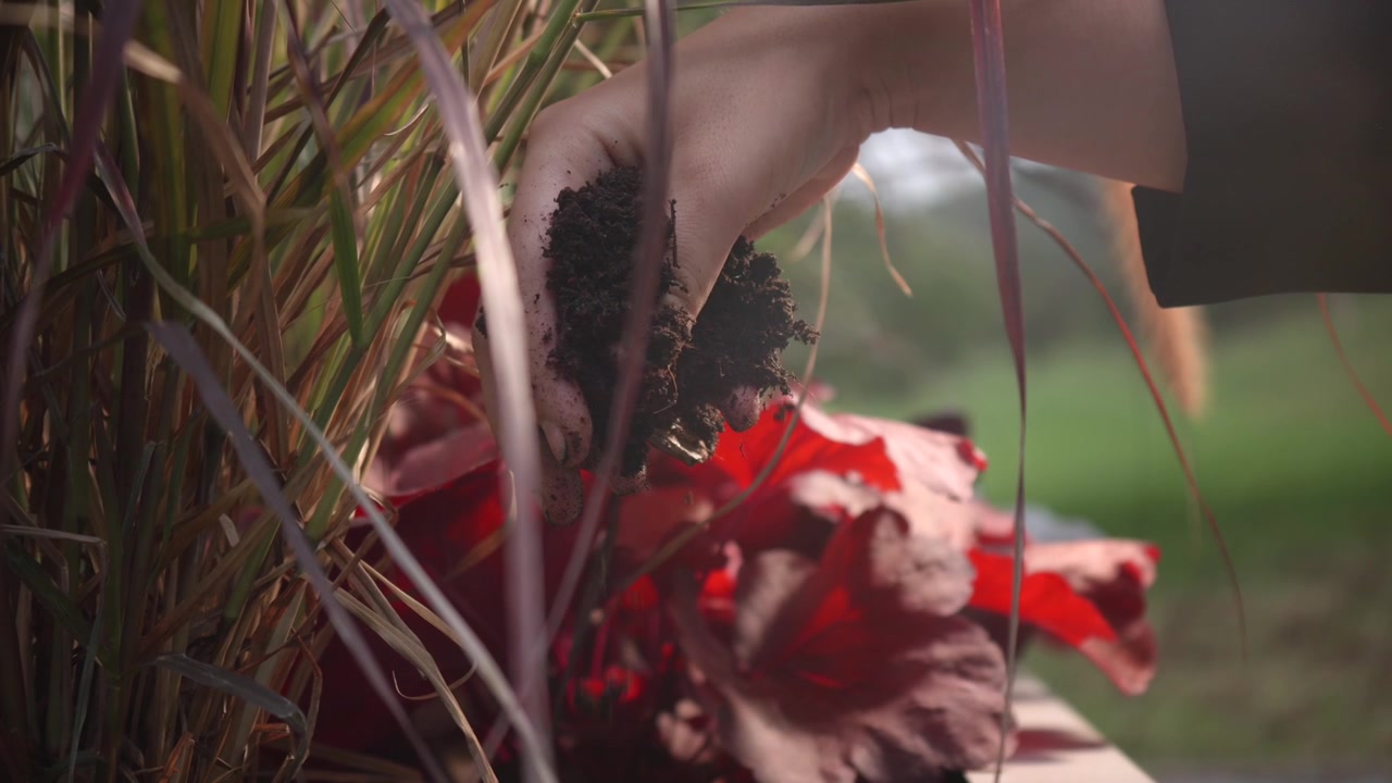Terra che cade dalla mano come video illustrativo sull'agricoltura