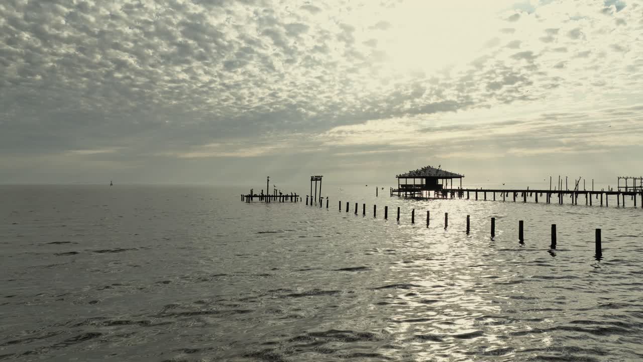 vista aérea de aves en un antiguo muelle y en vuelo en mobile bay, alabama