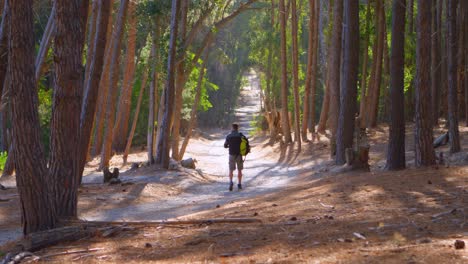 hombre tomando una foto con una cámara en un día soleado 4k
