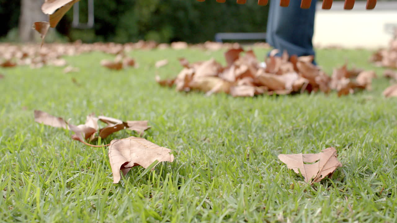 Close up of rakes raking up fallen leaves on lawn in garden, slow motion