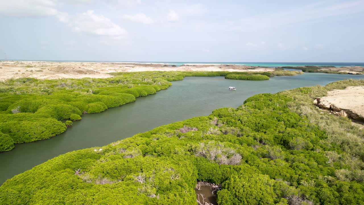 "자잔의 알-칸달 숲을 발견하라" 이 비디오는 여행, 생태 관광 및 목적지 마케팅에 이상적인 알-캔달 숲의 울창한 초록색과 조용한 아름다움을 포착합니다.