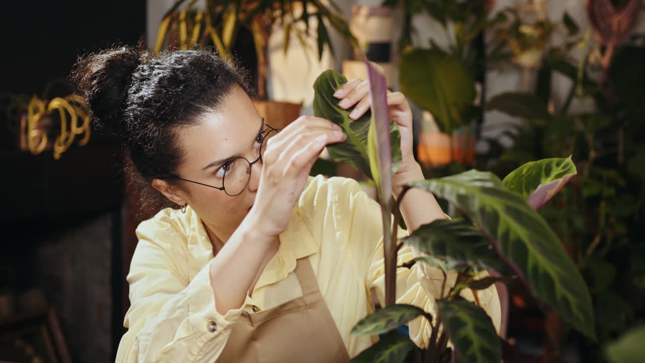 한 여자 가 실내 식물 을 점검 하고 있다
