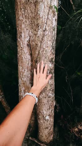 touching a tree trunk
