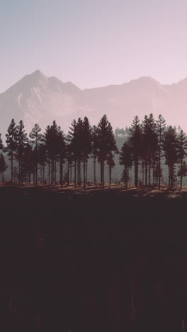 Majestic Mountain Range with a Forest of Pine Trees