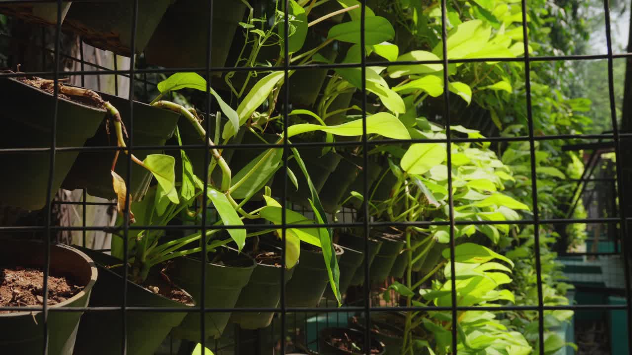 지속 가능한 농업, 아쿠아포닉 생산 방법의 활용