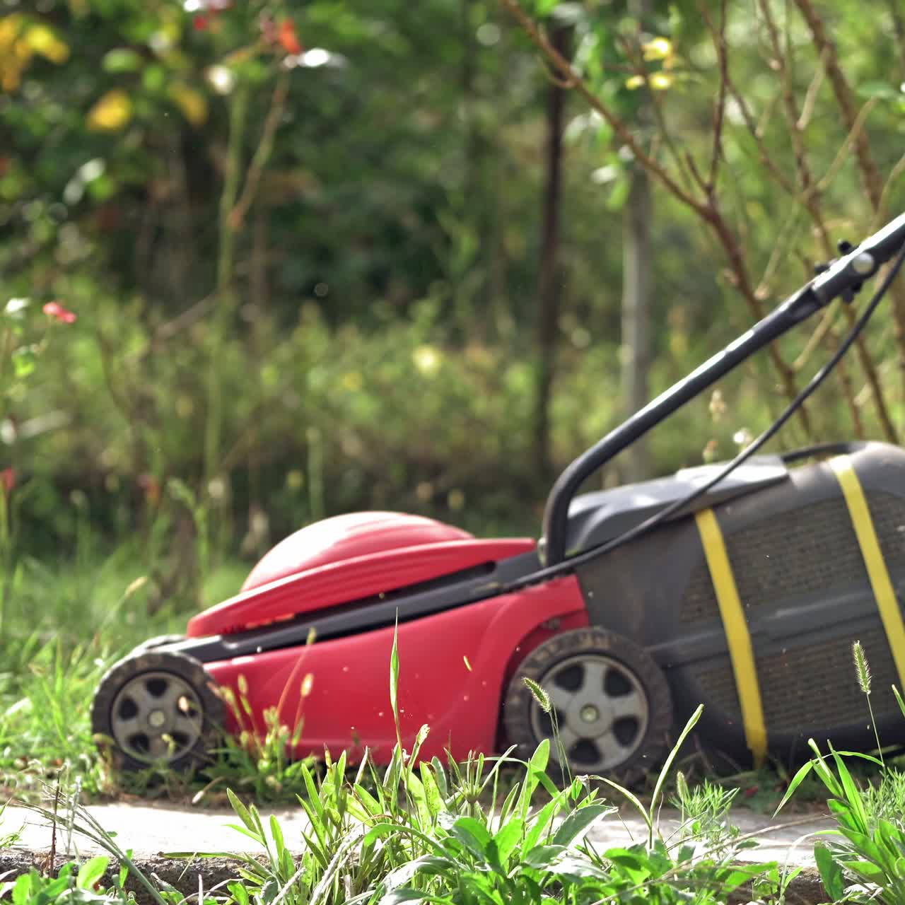 Red lawn mower in the garden. Mowing lawns.