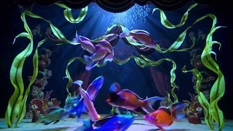 colorful fish performing on an underwater stage