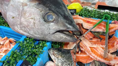 variety of seafood on display at market