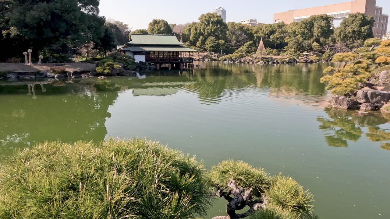 Peaceful water surrounded by greenery and rocks