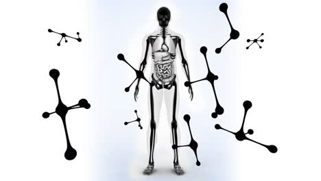 animación de moléculas que caen sobre el modelo del cuerpo humano