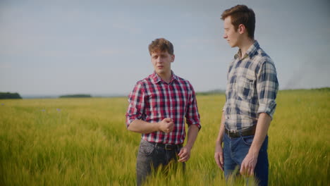 two farmers talking in a wheat field