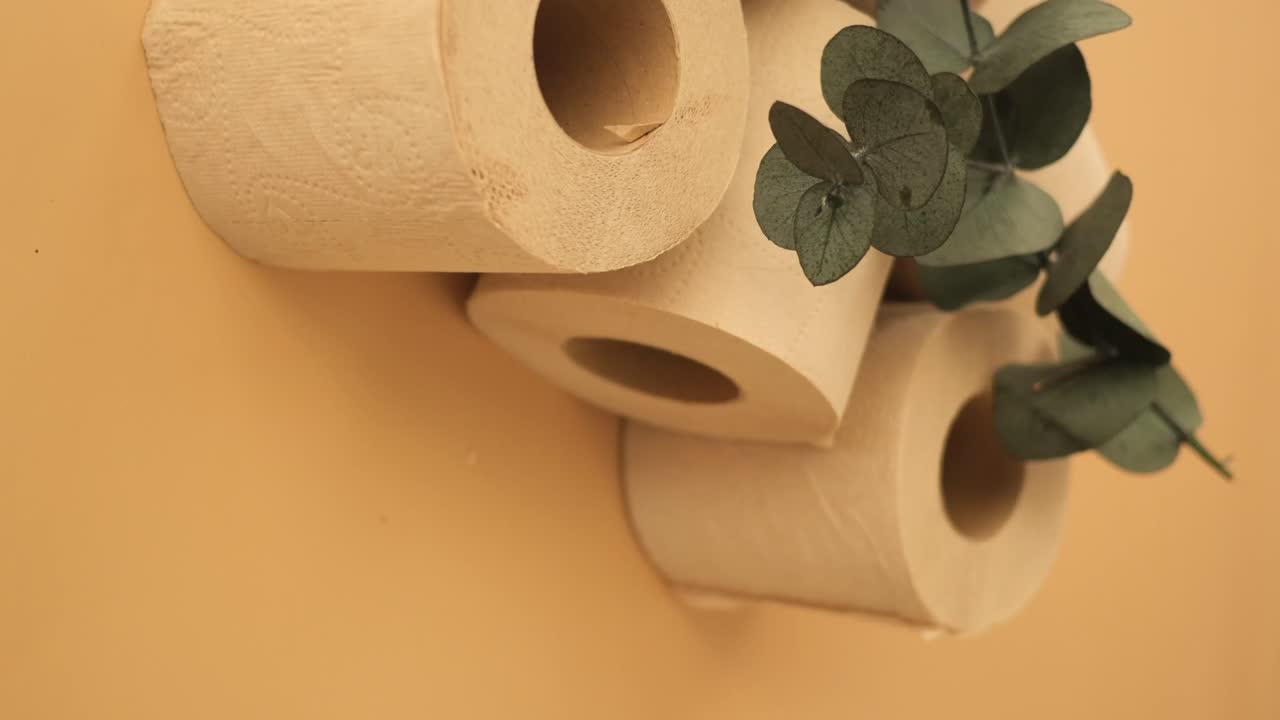 Toilet paper rolls with eucalyptus