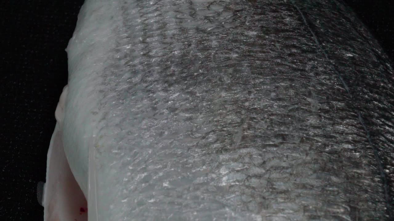 도라다 도미 회전, 오버헤드 근접 촬영의 은어 비늘 질감