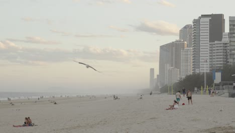 people enjoy outdoor beach activities in gold coast australia coastline
