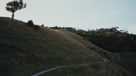 scenic hillside trail
