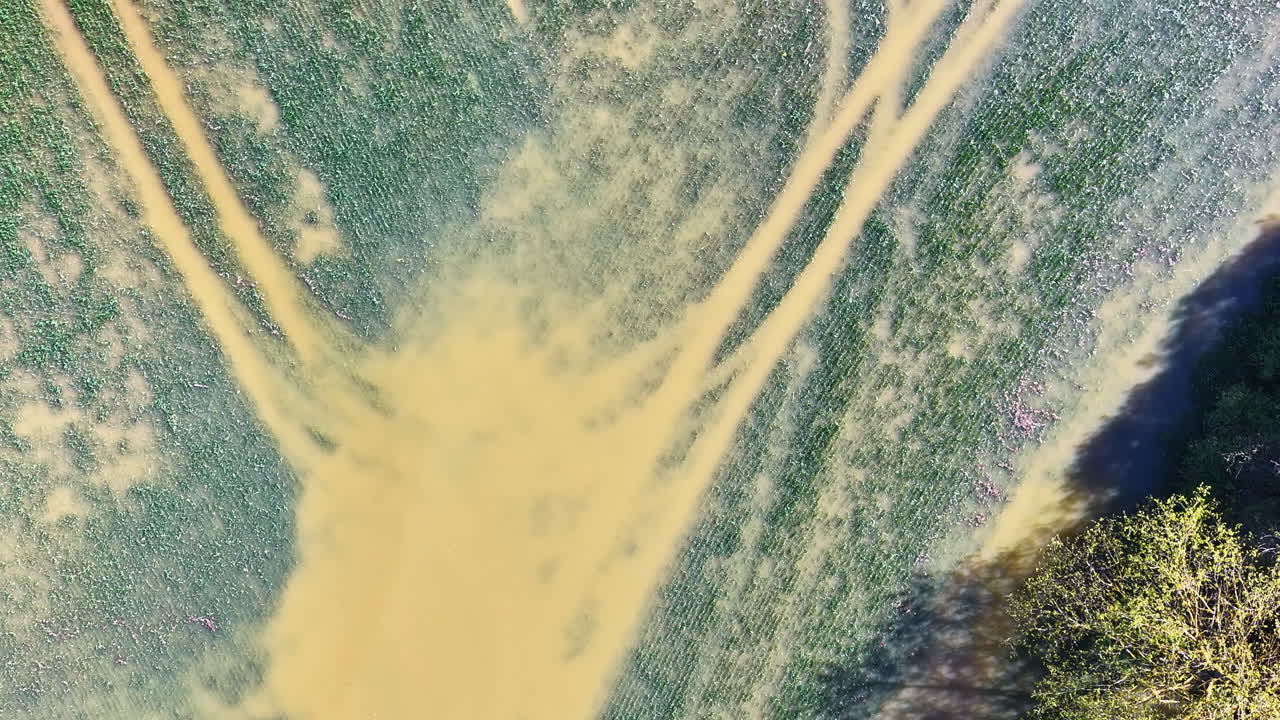 Tracks in green field from heavy vehicle, top-down aerial view in daylight