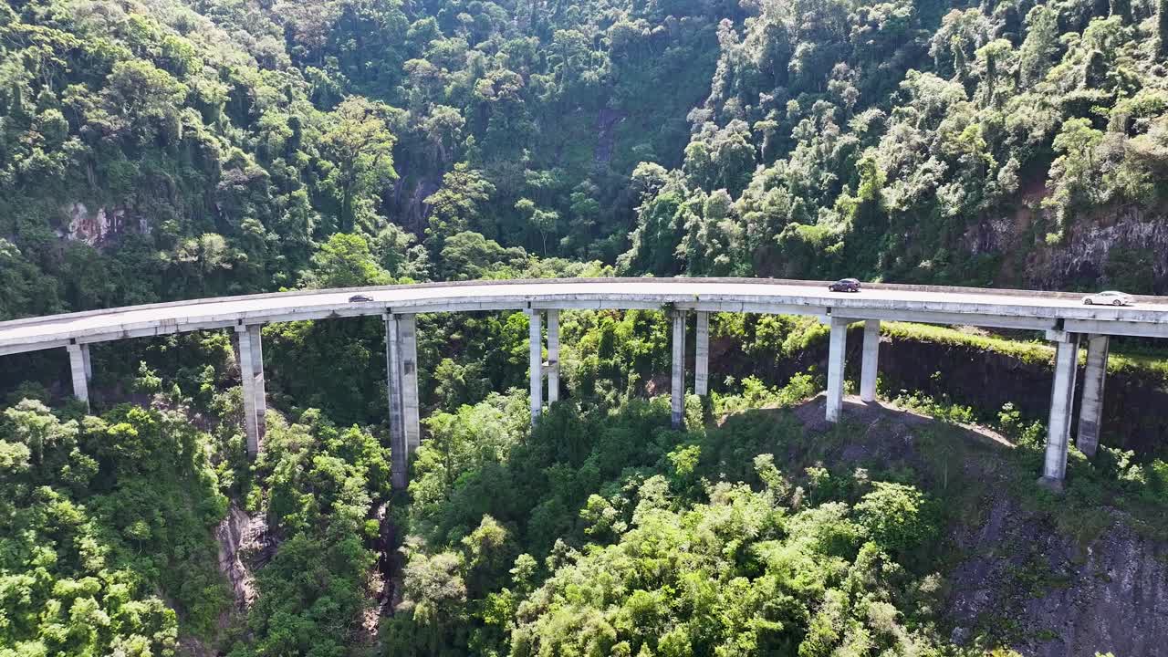 Aerial View of a Long Highway Bridge Winding Through Lush Green Forest