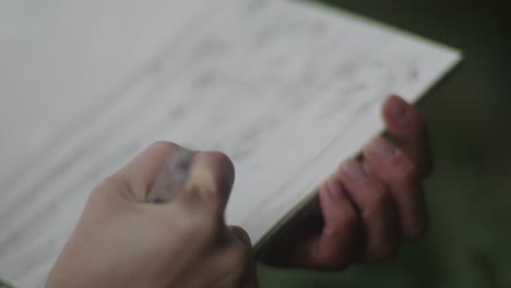 person sketching plants in notepad close up