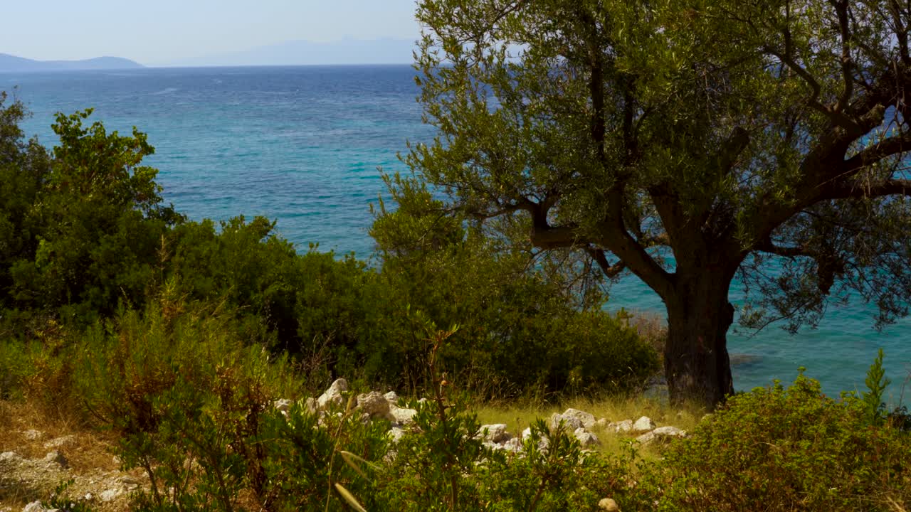 hermoso panorama del mar azul turquesa con la isla de corfú en el fondo visto a través de los olivos