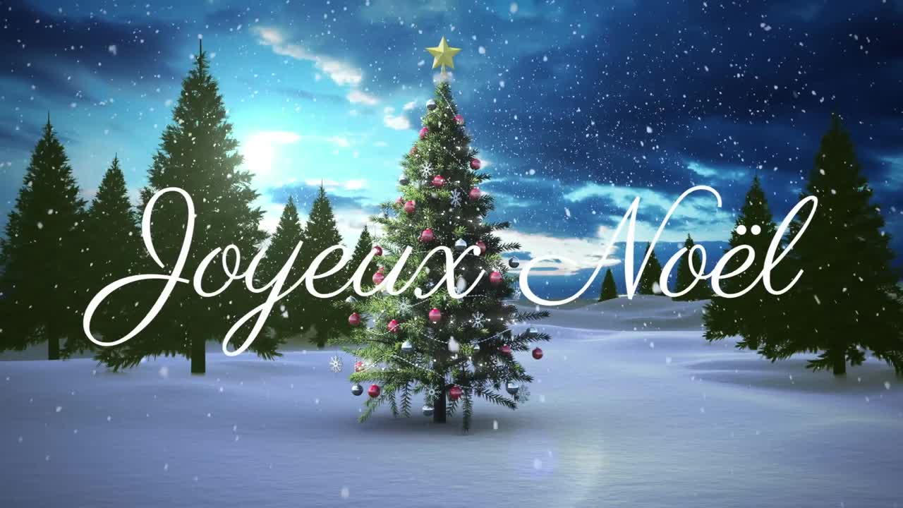 Animazione del testo "Joyeux Noël" su albero di Natale e neve che cade su paesaggio invernale