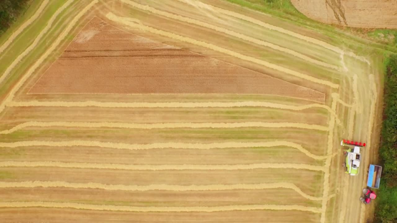 imágenes de aviones no tripulados de campos dorados y cosechadora combinada