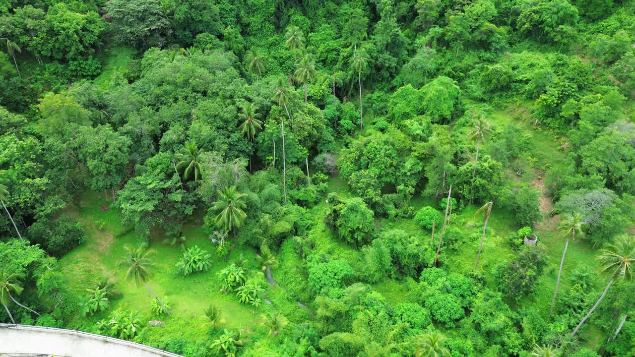 Koh Samui busy roads traffic Lamai region Thailand, aerial drone, nature rainforest landscape