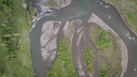 aerial view of a braided river system with green vegetation and driftwood