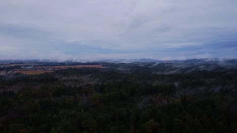 Bosque-Verde-En-Austria-Estado-De-ánimo-Místico-Austria