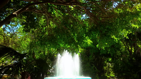 serene fountain in lush green park