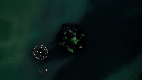 Rotation-drone-shot-of-small-island-with-trees-in-the-blue-water-of-the-city-in-Montpellier-France