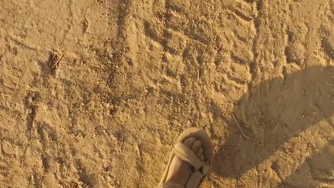 man wearing sandals walks along a dirt track with tyre tracks in the sand