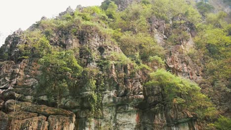 low-angle-of-rough-surface-of-moss-covered-stone,-a-wilderness-of-nature