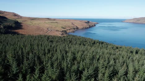 drone dolley panning shot over green pine tree forest next to a clear blue bay