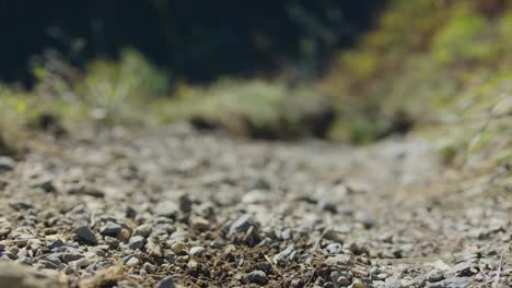 close up of a hiker walking up an alpine trail