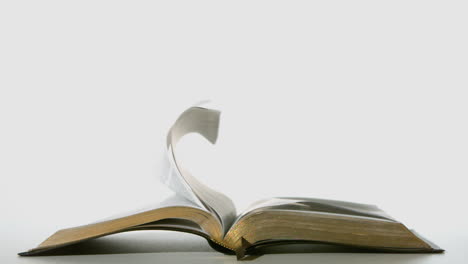 Bible-pages-turning-in-the-wind-on-white-background