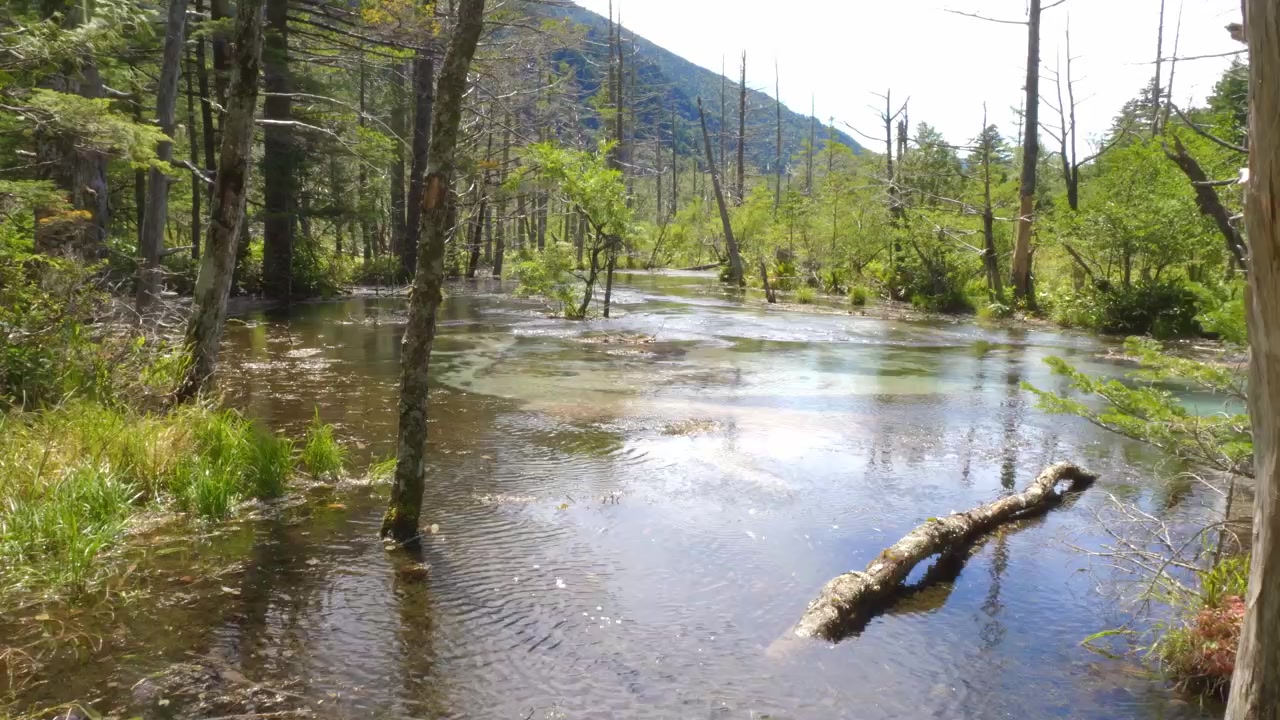 Dakesawa-Moor – Alpental in Kamikochi, Matsumoto, Japan. – Weitwinkelaufnahme.