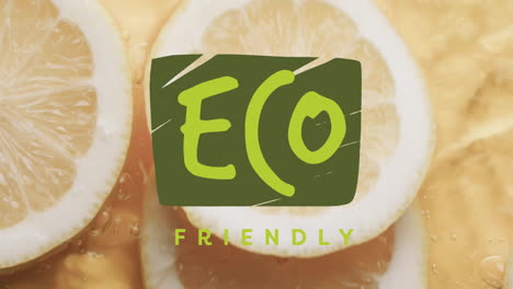 animation of eco friendly text over slices of lemon falling in water background