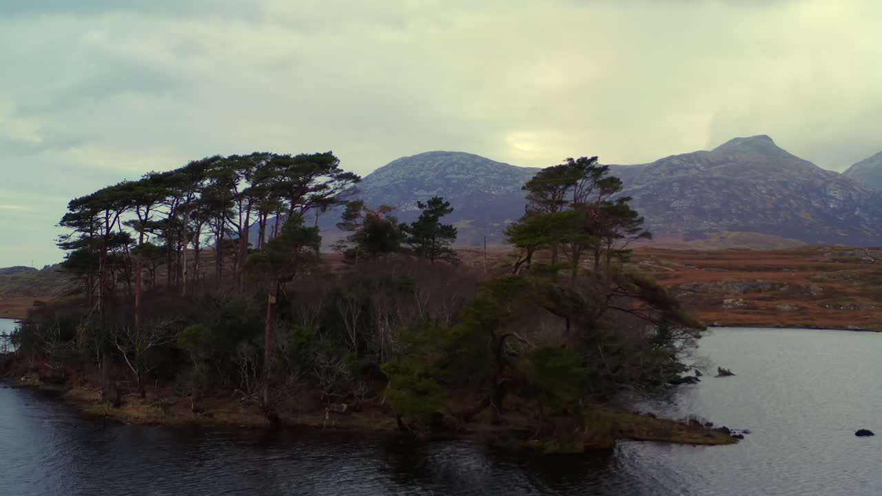 Ripresa aerea orbitale di un'isola ricoperta di alberi su un lago del Connemara con montagne sullo sfondo.