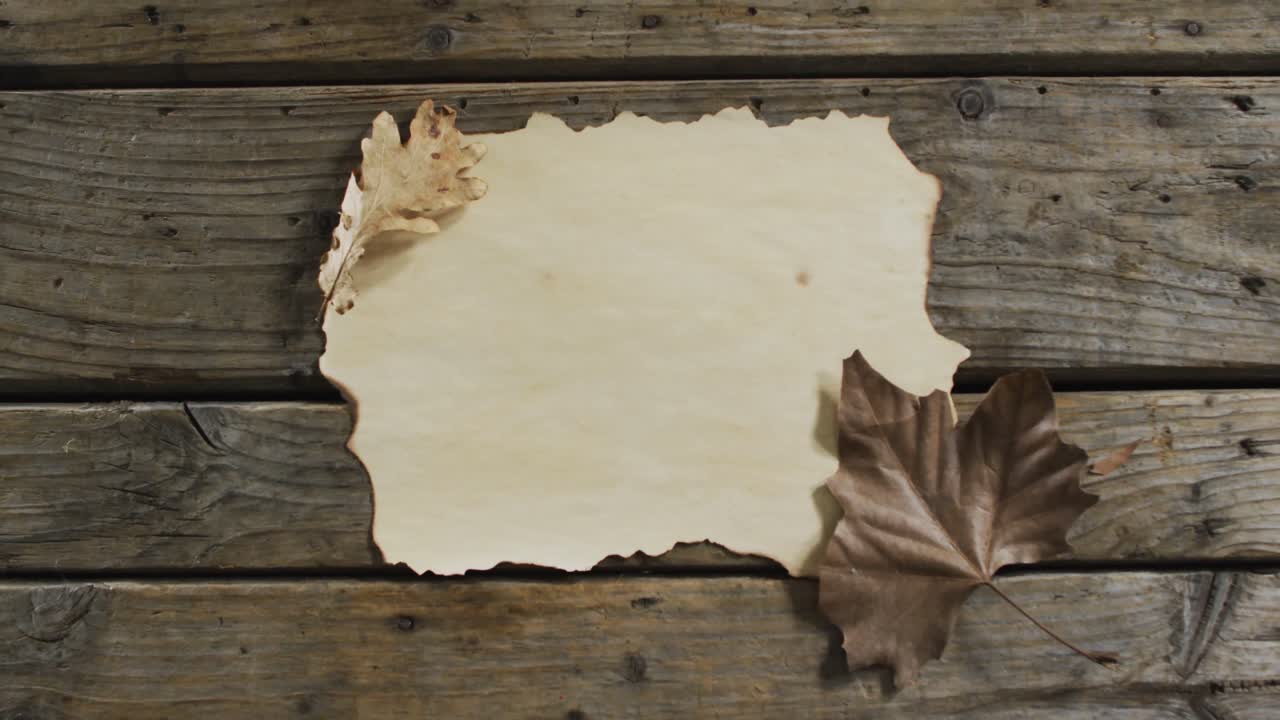 나무 표면 에 있는 복사 공간 과 가을 잎 을 가진 종이 의 가까운 모습